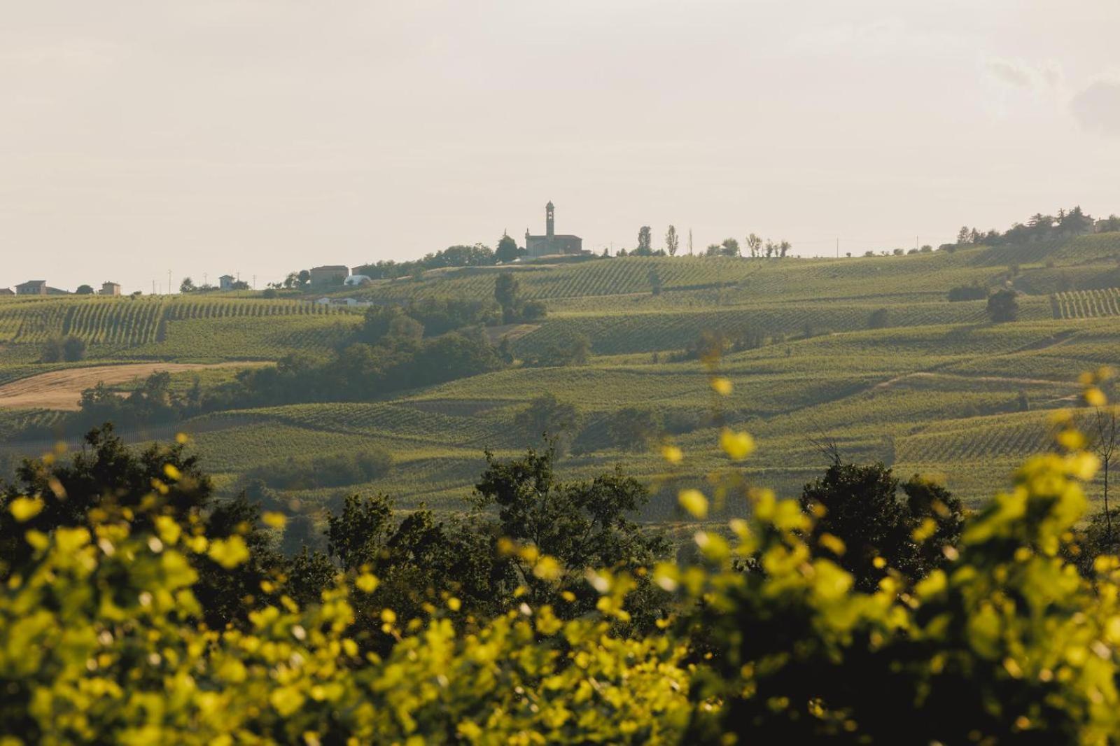 Agriturismo Bosco Longhino Santa Maria della Versa Buitenkant foto